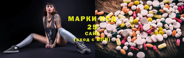 крисы Аркадак