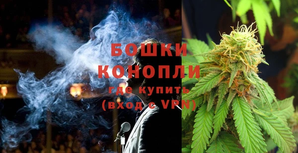 крисы Аркадак