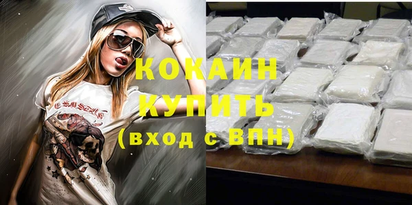 крисы Аркадак