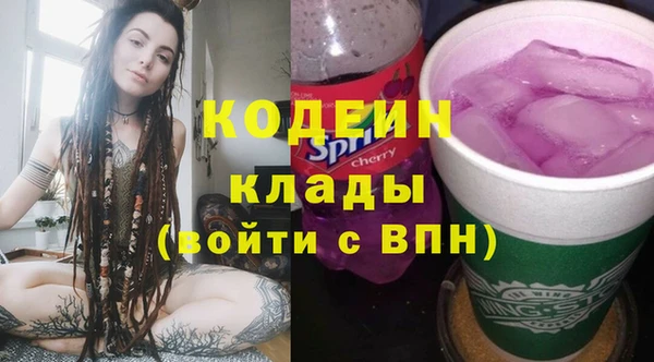 амф Арсеньев