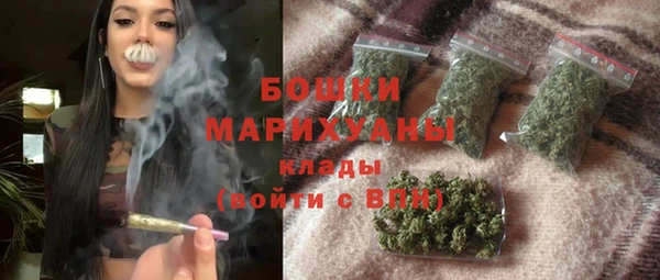 крисы Аркадак