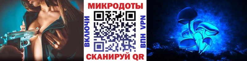 Псилоцибиновые грибы Cubensis мега Навашино
